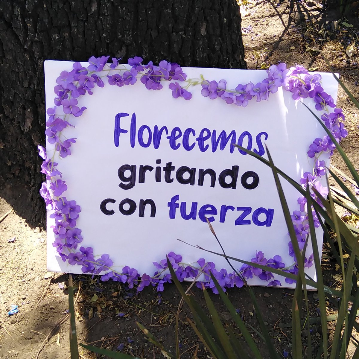 De carteles, emociones y dolores.
#Marcha8M 
#8marzo2025 
#8Marzo 
#diseñocartel
#diseño2025