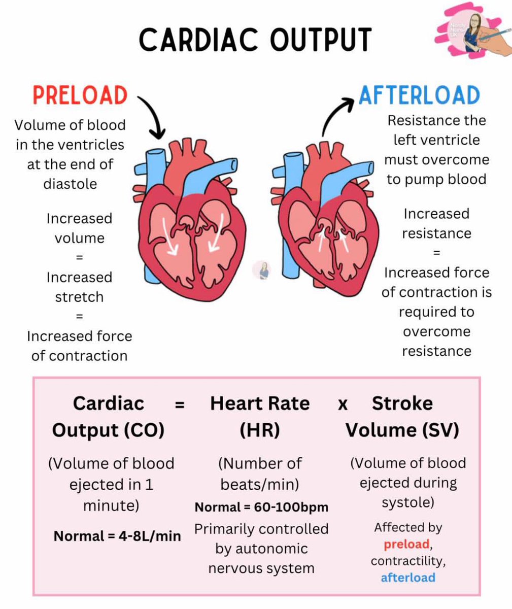 احمد tweet media
