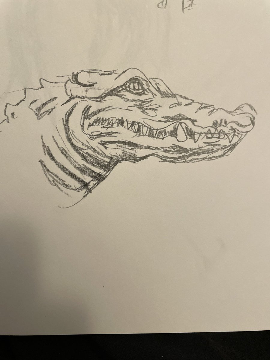 TopMouseComics's tweet photo. Just playing around with some ideas, quick sketches of a rat and a gator.
#drawingartwork #illustration #pencildrawingsβοΈ #rats #gators #comics #comicbookart #comicartwork #animaldrawings #draweveryday #makearteveryday #lovetodraw https://t.co/LqqoKmjPsk