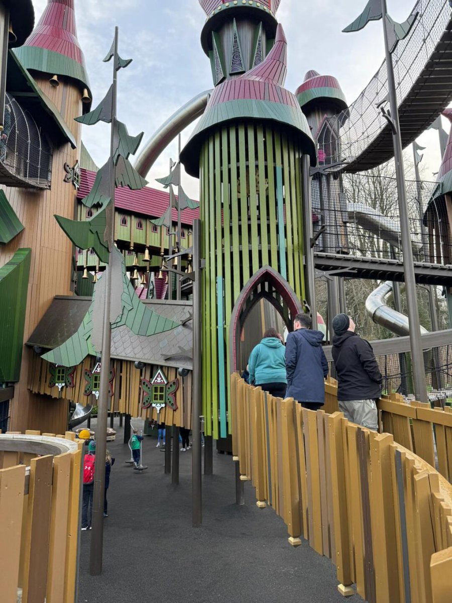 Donna Gorman (@robhsieh) on Twitter photo 