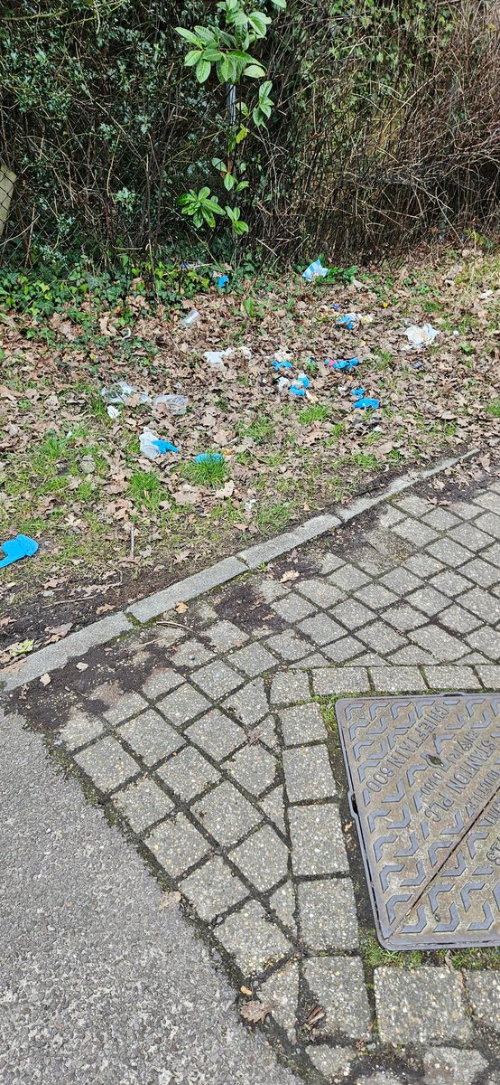 Andrew Dudley tweet media