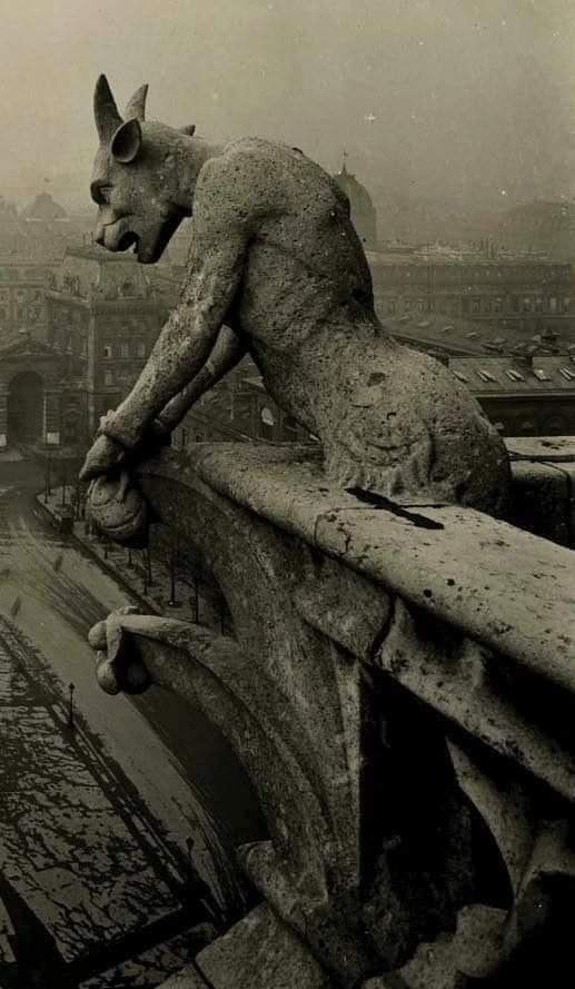 historydefined's tweet image. The Gargoyle of Notre Dame overlooking Paris, 1910.