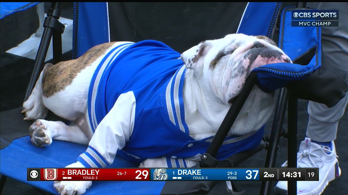 Drake has now won 3-straight MVC tournament titles.

Advanced analytics: The Enterprise Center first allowed <a href="/DrakeUGriff/">Griff II</a> to be in the arena 3 years ago... Drake is 9-0 at Arch Madness with Griff II in attendance. Folks it is NOT a coincidence!
<a href="/DrakeUniversity/">Drake University</a> <a href="/KCCINews/">KCCI News</a>