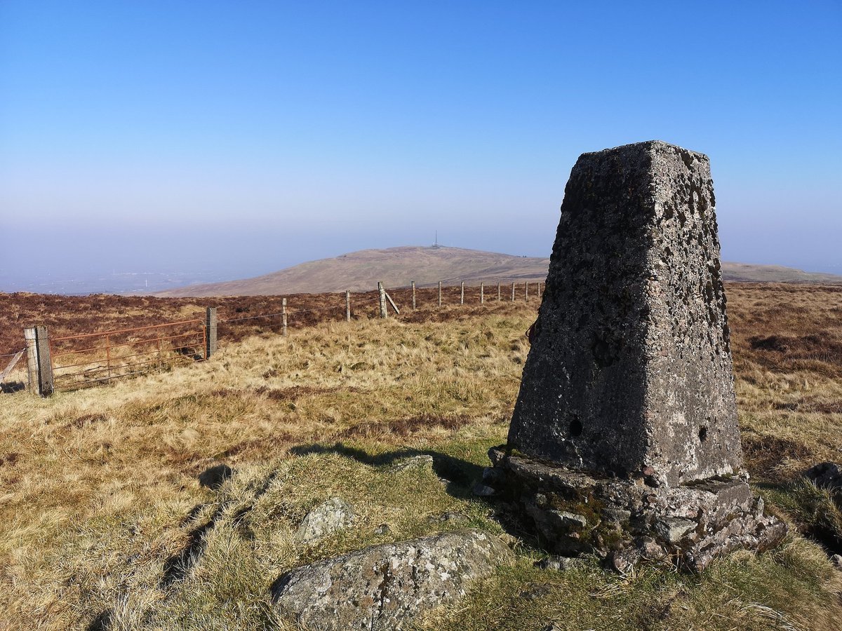 gerry mcveigh tweet media