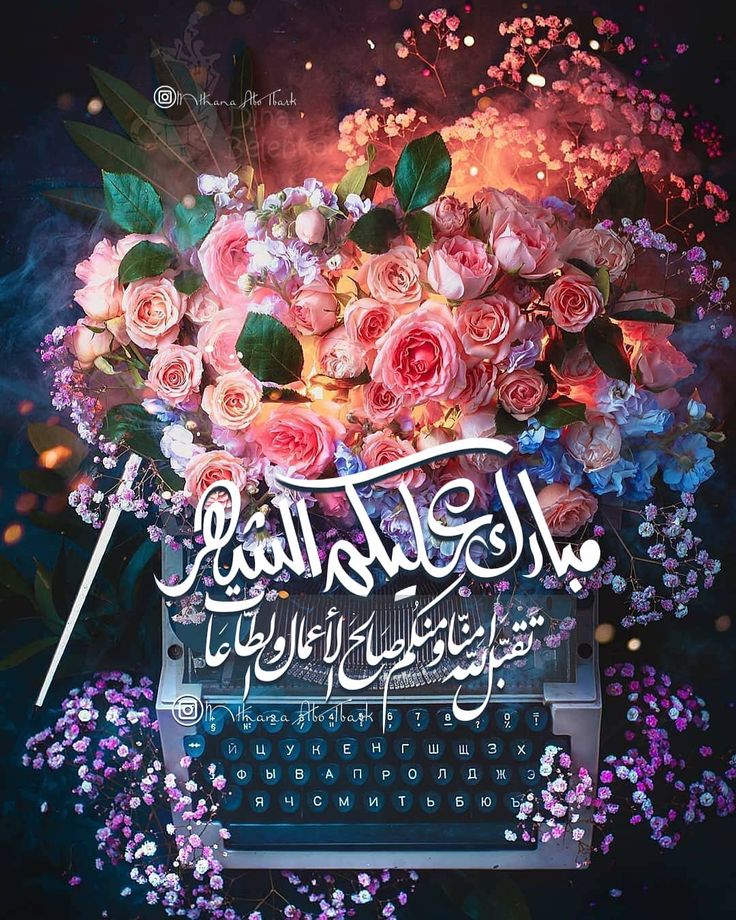 ð
ð
€ð
ðââïž (@1gpti) on Twitter photo #A_P_Gâïž8/Ø§ÙØ·Ø§Ø±Û
<a href="/_1gul/">Aαɟα àž'Åàžfàºàži</a>
<a href="/bnte_/">ØšÙÙÙÙÙÙÙÙÙÙÙÙÙÙÙÙÙÙÙÙÙØªÙÙÙÙÙÙÛ</a> <a href="/Ozlerntr/">Ãzleâïž ðâªïž#Nika -àœŒ ð¯ïž</a> <a href="/Lub_03/">â¿ððððð ðšððâ¿</a>
<a href="/frq04/">Muhammad Farooq Ahmad</a> <a href="/Znt33/">ðŠZêÄñÀT</a> <a href="/1lsura/">ðð¡ ððð¡ð¢ð«ð«</a>
<a href="/khg_82/">KHAN G</a> <a href="/le_mcb/">îšLee</a> <a href="/Ghz97/">âªðððððððð ðŠððððâª</a>
<a href="/anm_khn/">Anam Kanwal</a> <a href="/7Rehna/">ð Jadoon ð</a> <a href="/s77h12/">ðžShahidaðž</a>
<a href="/Sana_IIK/">KhanZaadi ðŠ</a>
<a href="/cknlaw1/">ðãã·ð¥âïž</a>
<a href="/TSC143_/">Ø¢ÙÛØ³Ø±Ø²</a>
<a href="/Ghz35/">ð¬ ð ðŠ ð¿ ðŠ ð± ðŠ ð</a>
<a href="/1fazl2/">Imran khan</a>
<a href="/Hfz48/">HáŽÒáŽáŽáŽ¢áŽÊ AáŽÊáŽÊ</a>
<a href="/5kshf/">syed kashif</a>
<a href="/lilmne/">®Liliîš</a>
<a href="/1___A_1/">â€Ø¹ÙÌ·ØŽÙÌ·ð¶ðððžð¿ð®ÙÌ·Ùâ€ðžðŠ</a>
<a href="/_i_tl/">HK</a>
<a href="/1iA_4/">ار؎د ÙØ±ÛØŽÛ</a>
<a href="/1PTI_/">PTI PROMOTIONS</a>
<a href="/1_rjpt/">RAJPOOT ð</a>
<a href="/1Aara_/">â° آراءخاÙ°â</a>
<a href="/1GPTI/">ð
ð
€ð
ðââïž</a>
<a href="/Mir44_/">SáŽoÍ¥keÍ£rÍ« àœŒ ðŠâð¥</a>
<a href="/KD8RJ8/">MaCaHa</a>
<a href="/MQ_786/">007ðââïž</a>
<a href="/Sc2017W/">SC2017</a>
<a href="/zimal293/">ðŠðáŽsÊɪáŽ
áŽÊðŠ</a> #A_P_Gâïž8/Ø§ÙØ·Ø§Ø±Û
<a href="/_1gul/">Aαɟα àž'Åàžfàºàži</a>
<a href="/bnte_/">ØšÙÙÙÙÙÙÙÙÙÙÙÙÙÙÙÙÙÙÙÙÙØªÙÙÙÙÙÙÛ</a> <a href="/Ozlerntr/">Ãzleâïž ðâªïž#Nika -àœŒ ð¯ïž</a> <a href="/Lub_03/">â¿ððððð ðšððâ¿</a>
<a href="/frq04/">Muhammad Farooq Ahmad</a> <a href="/Znt33/">ðŠZêÄñÀT</a> <a href="/1lsura/">ðð¡ ððð¡ð¢ð«ð«</a>
<a href="/khg_82/">KHAN G</a> <a href="/le_mcb/">îšLee</a> <a href="/Ghz97/">âªðððððððð ðŠððððâª</a>
<a href="/anm_khn/">Anam Kanwal</a> <a href="/7Rehna/">ð Jadoon ð</a> <a href="/s77h12/">ðžShahidaðž</a>
<a href="/Sana_IIK/">KhanZaadi ðŠ</a>
<a href="/cknlaw1/">ðãã·ð¥âïž</a>
<a href="/TSC143_/">Ø¢ÙÛØ³Ø±Ø²</a>
<a href="/Ghz35/">ð¬ ð ðŠ ð¿ ðŠ ð± ðŠ ð</a>
<a href="/1fazl2/">Imran khan</a>
<a href="/Hfz48/">HáŽÒáŽáŽáŽ¢áŽÊ AáŽÊáŽÊ</a>
<a href="/5kshf/">syed kashif</a>
<a href="/lilmne/">®Liliîš</a>
<a href="/1___A_1/">â€Ø¹ÙÌ·ØŽÙÌ·ð¶ðððžð¿ð®ÙÌ·Ùâ€ðžðŠ</a>
<a href="/_i_tl/">HK</a>
<a href="/1iA_4/">ار؎د ÙØ±ÛØŽÛ</a>
<a href="/1PTI_/">PTI PROMOTIONS</a>
<a href="/1_rjpt/">RAJPOOT ð</a>
<a href="/1Aara_/">â° آراءخاÙ°â</a>
<a href="/1GPTI/">ð
ð
€ð
ðââïž</a>
<a href="/Mir44_/">SáŽoÍ¥keÍ£rÍ« àœŒ ðŠâð¥</a>
<a href="/KD8RJ8/">MaCaHa</a>
<a href="/MQ_786/">007ðââïž</a>
<a href="/Sc2017W/">SC2017</a>
<a href="/zimal293/">ðŠðáŽsÊɪáŽ
áŽÊðŠ</a>