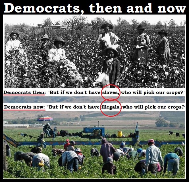 Ultra Padrino 🇺🇸 tweet media