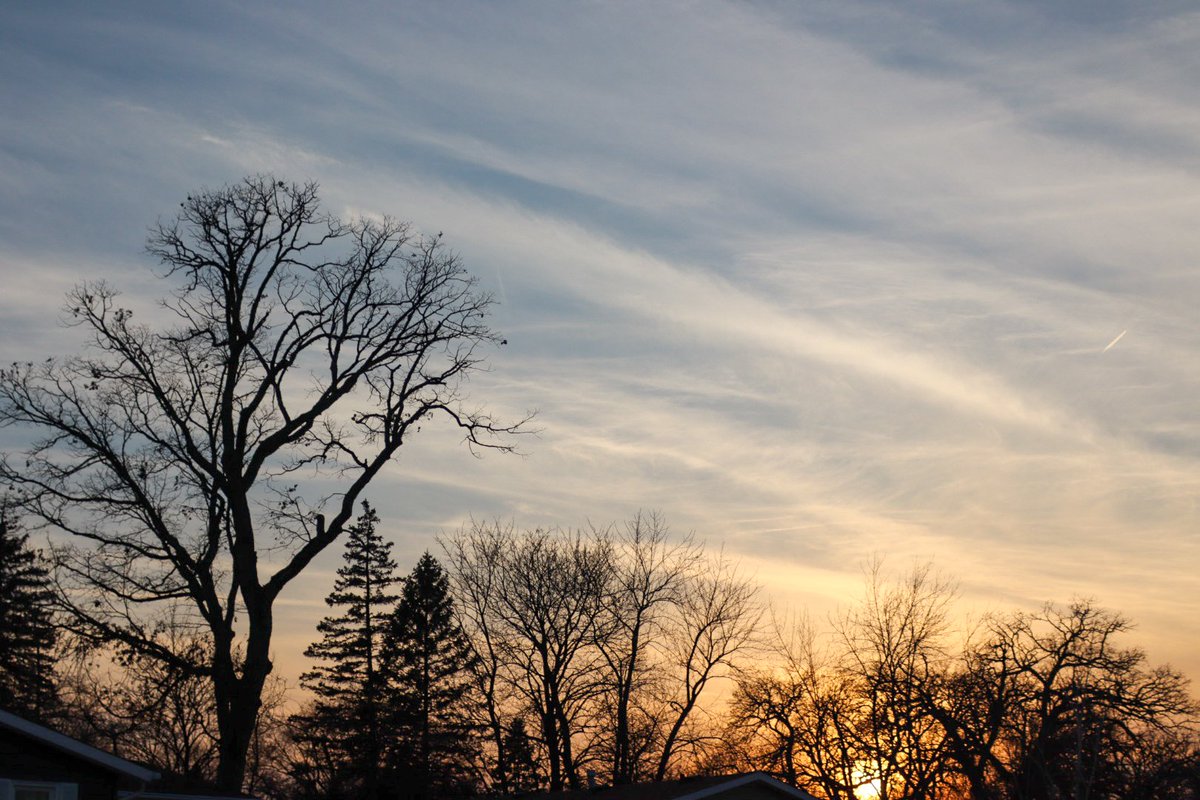 jake bender tweet media