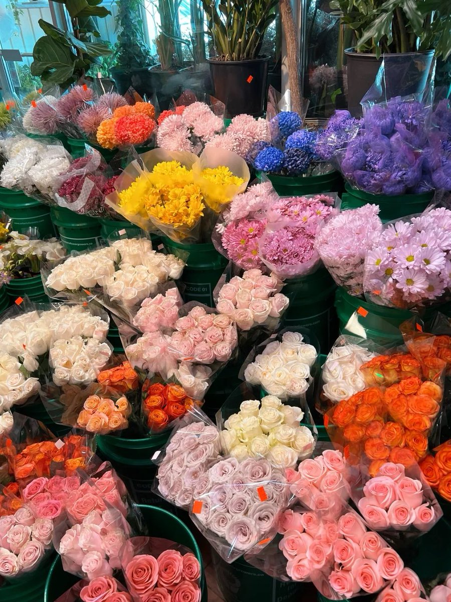 kaurpreet0203's tweet photo. 🌸 It's not that you buy flowers because you have a special day, it's that you buy flowers and every day becomes special! 💐 https://t.co/S9ugNFu0SS