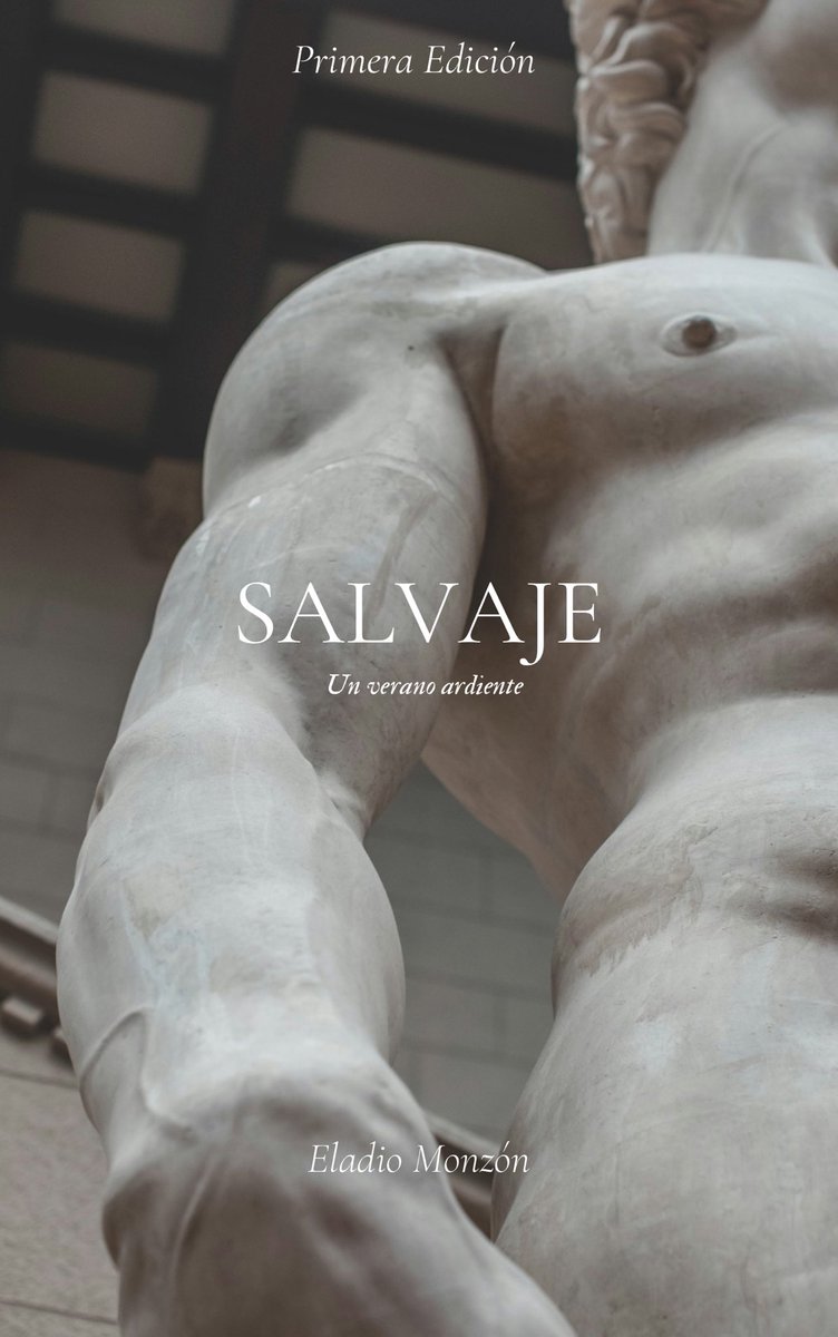 Si eres amante del erotismo y de las historias románticas no te puedes perder esta trilogía cargada de pasión y deseo ardiente: Salvaje “Un verano ardiente” ya está disponible en Amazon, versión tapa dura y digital. 
👇🏻👇🏻👇🏻

a.co/d/8HhA2YF