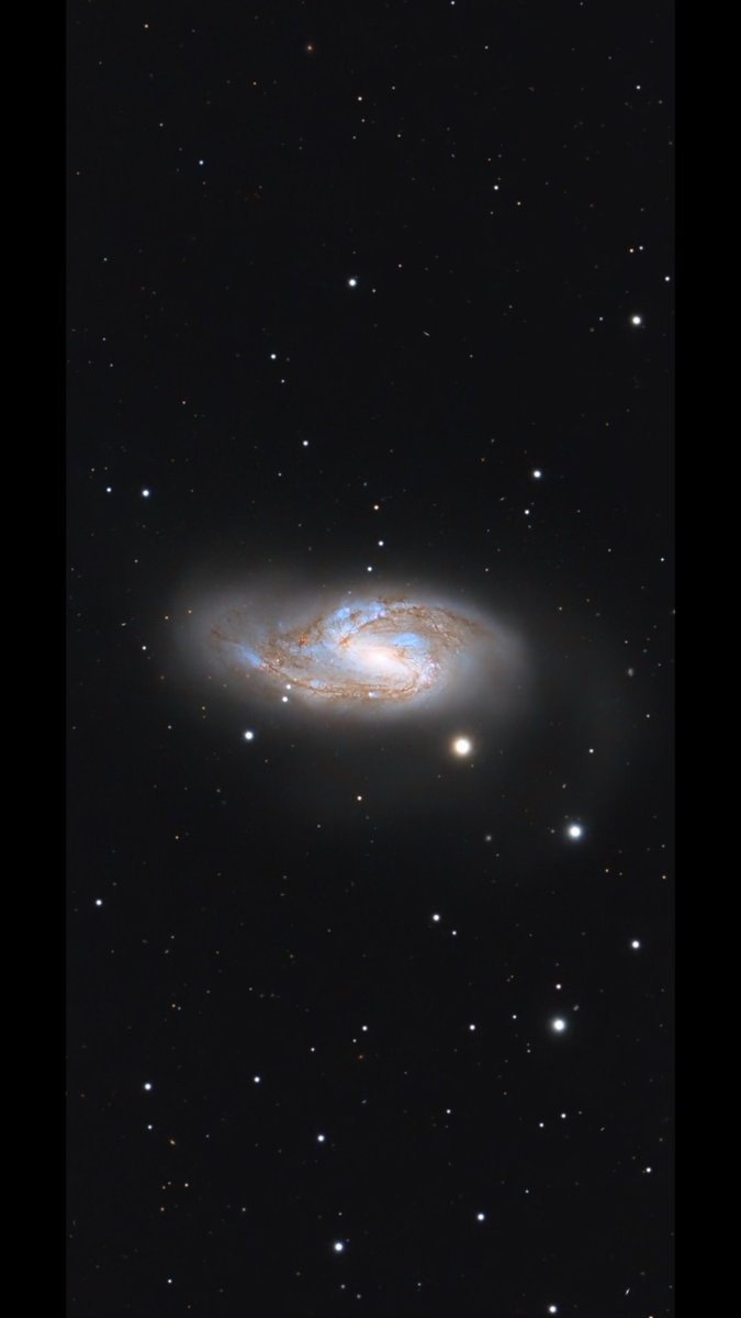 sdb_astro tweet media