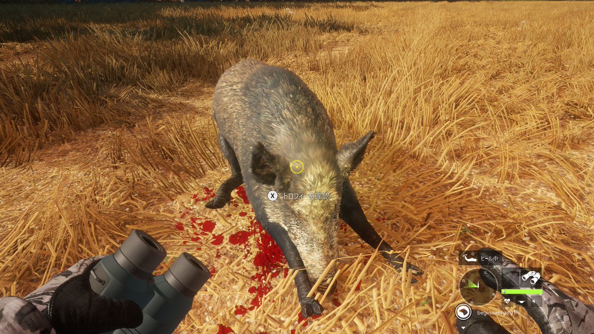 chu_chu_jp's tweet photo. 配信最初ゴールドスコア1匹目ブタさん🐗
初めて目視で最大体重が200kg超のブタさん見て激アツもゴールド🐷
#thehuntercotw
#theHunterCalloftheWild
#COTW
#ザハンターコールオブザワイルド
#寝落ち配信
#寝落ち向け
#寝落ち向け配信
#寝落ち歓迎ラジオ配信
#イノシシ
#SusScrofa
#WildBoar https://t.co/lC4XN7l1Xm