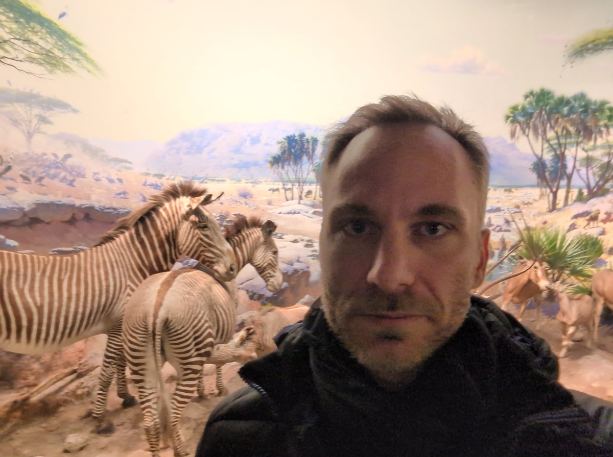 Paolo Ardoino 🤖 tweet media