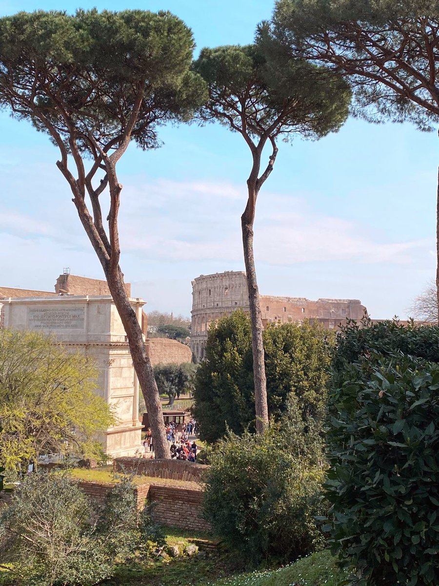 Harti239's tweet image. Sehr wahrscheinlich ist der Sonntag nicht der beste Tag für das Colosseum, aber zum Glück ist noch keine Hochsaison....