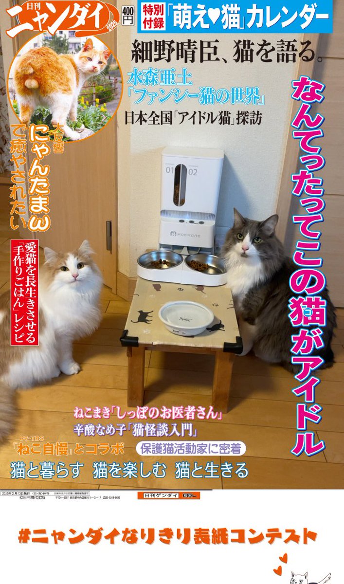 aya_kk's tweet photo. #ニャンダイなりきり表紙コンテスト https://t.co/RW86jT78b6