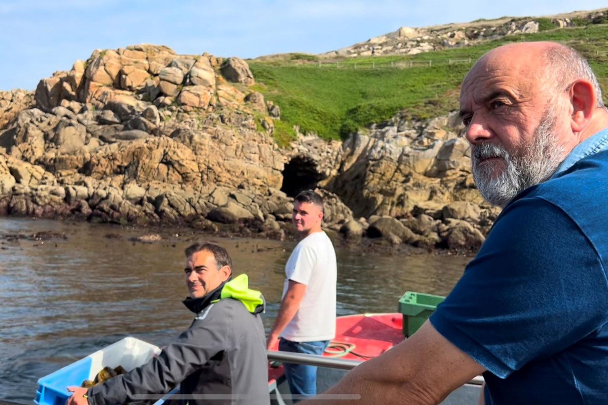 EU_MARE's tweet photo. What do seaweed and sea urchins have in common?
A second chance.
The Galician coast has long been home to a thriving sea urchin fishery - until pollution hit hard. Now, Porto-Muiños is using its own seaweed to bring urchins back with help of #EMFF.
https://t.co/QtXkxugIx4 https://t.co/o2phyWnc6O