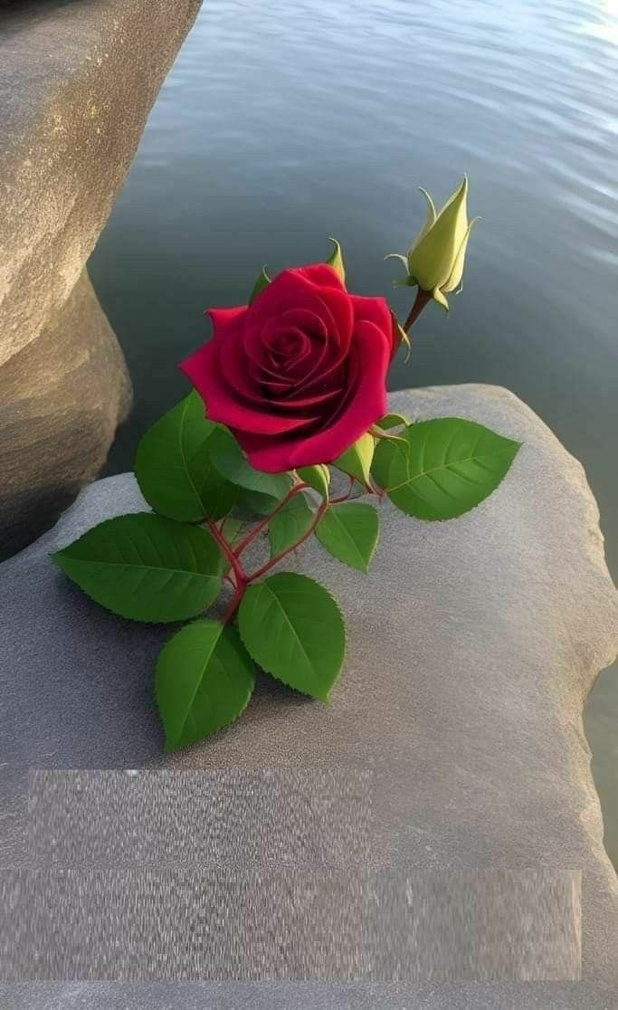 omniaakooo's tweet photo. @FN31290038 https://t.co/WZSC0AQfij