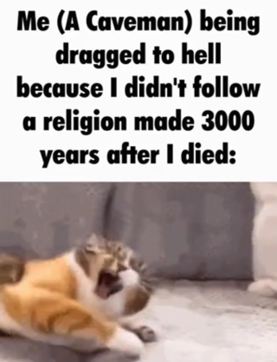 nocontextmemes's tweet image. 