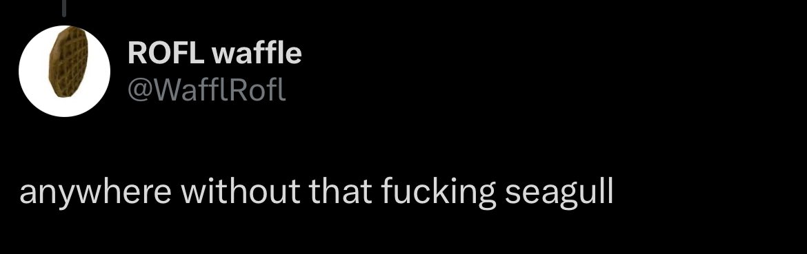 Space Sandwich tweet media