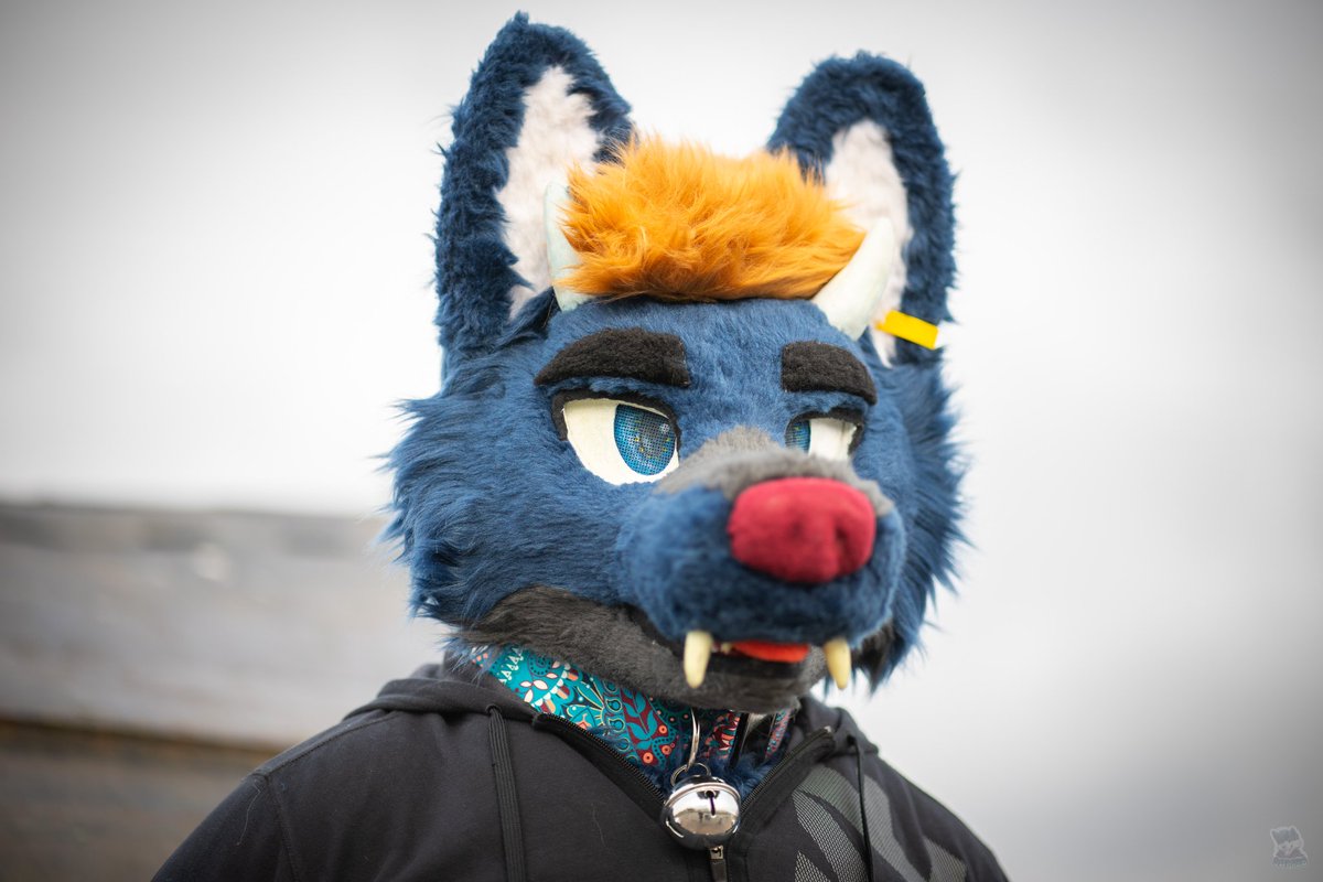 Guess who was lazy this weekend.
YES, this dork.

#fursuiteveryday
#furry
#fursuiter

📸 <a href="/SamyoFox/">SamyoFox</a> 
🪡 @vino_studios