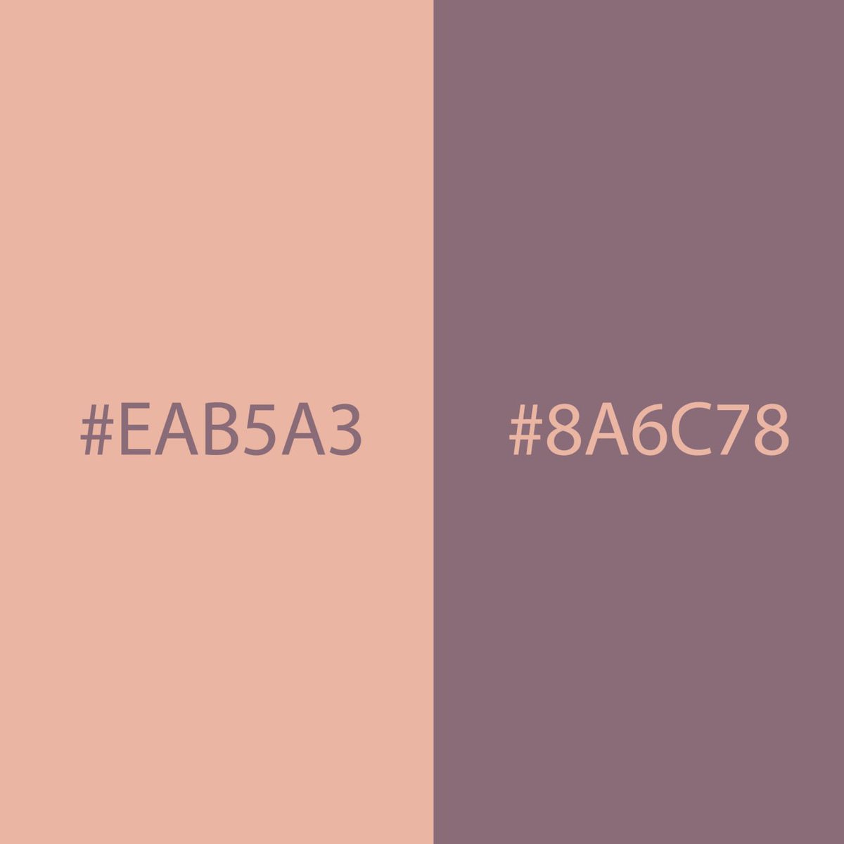 مساء الخير 👋🏻

الفترة هاذي صممت هوية بصرية وهاذي الوانها 🤩

تتوقعون ايش المشروع ؟