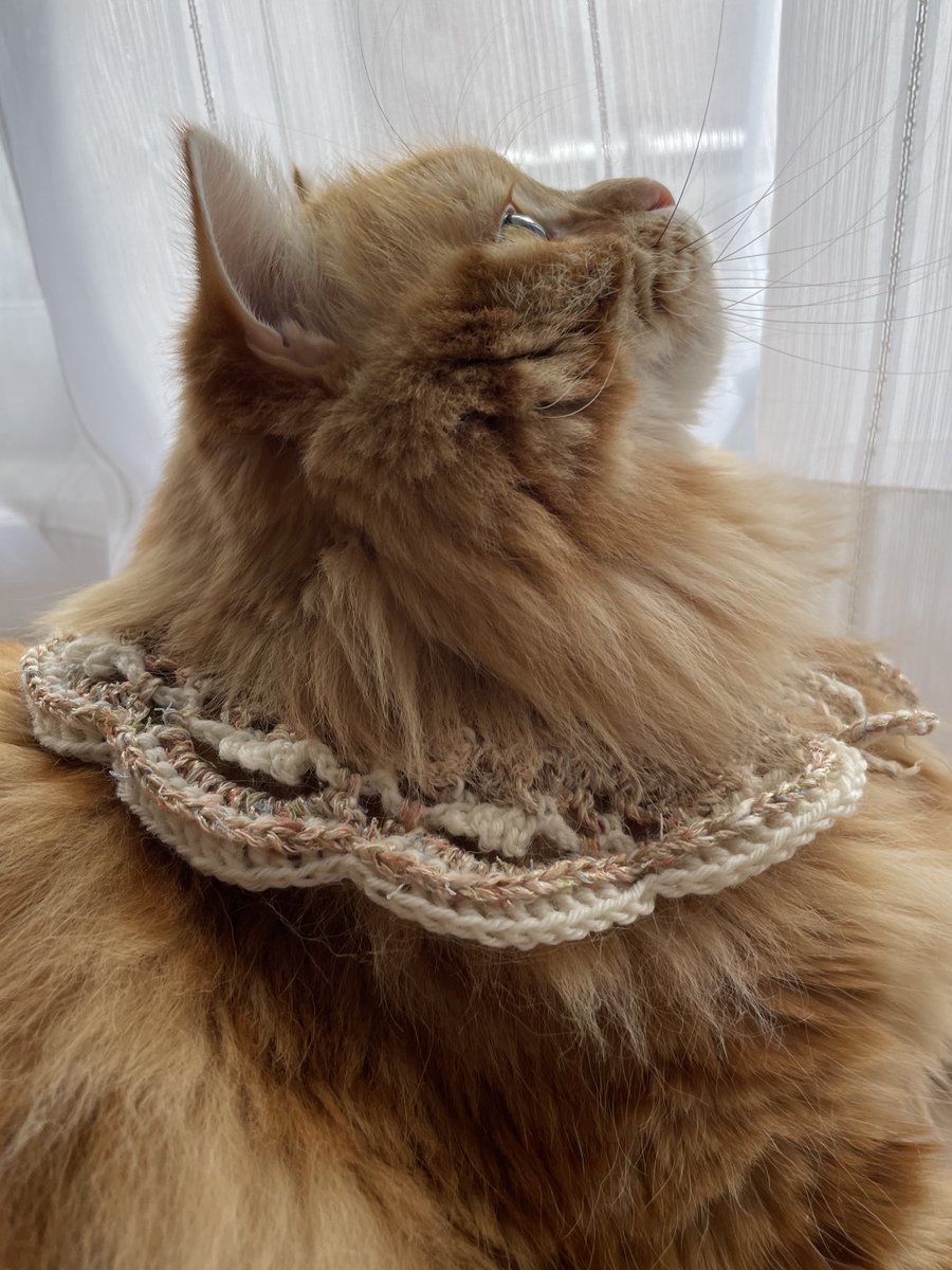 ちくわ (@sktfd0310) / Posts / X