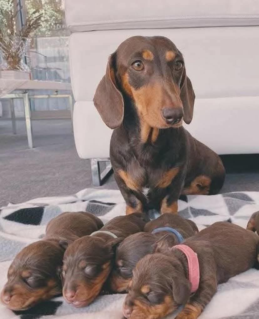 Great  photography ❤