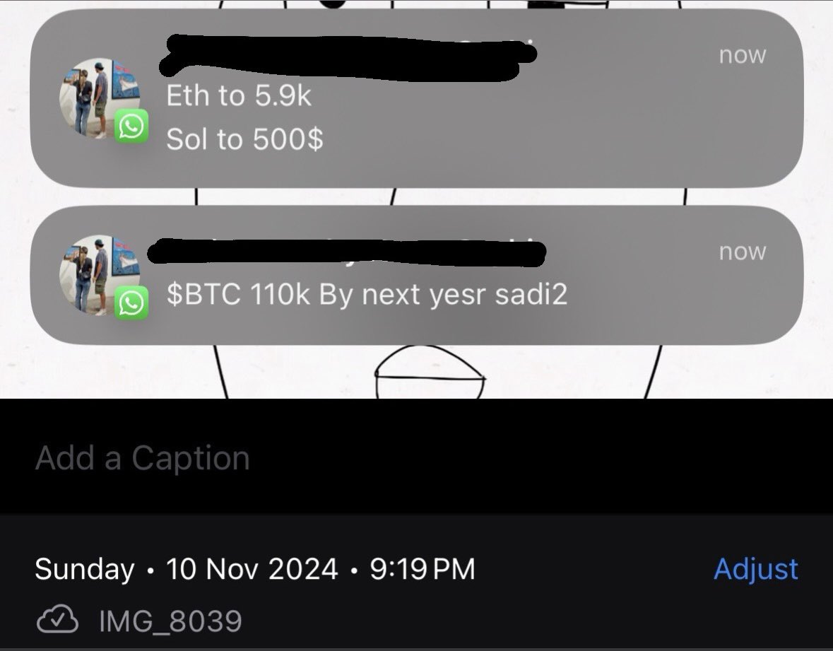 screenshot from my chats with <a href="/elonmusk/">Elon Musk</a> back in November 2024.
we hope for the best and go with the flow.