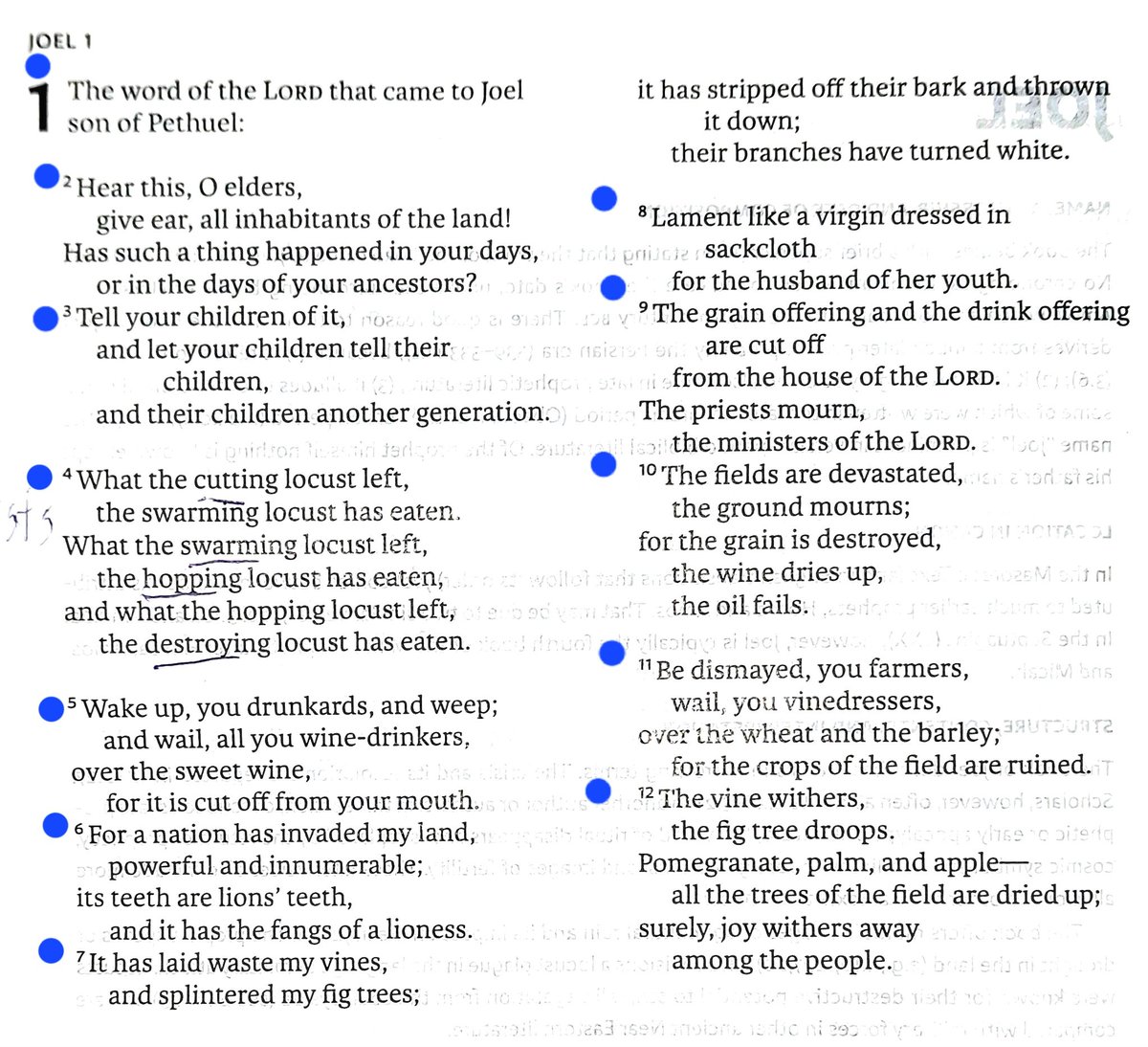 TeXasMadde's tweet image. #ApocalypticBookStudy #35 

📜🎆  Joel 1:1-20 -The Day of the Lord  (יוֹם יְהוָה, yôm YHWH) is near ⚡🔥🌊!

🦗🌀🌪  A plague of locusts devours the land—not just insects, but a Supernatural Judgment! 

📜🗝⚠️  A foreshadowing of Revelation’s Apocalyptic Army (Rev 9:3-10)