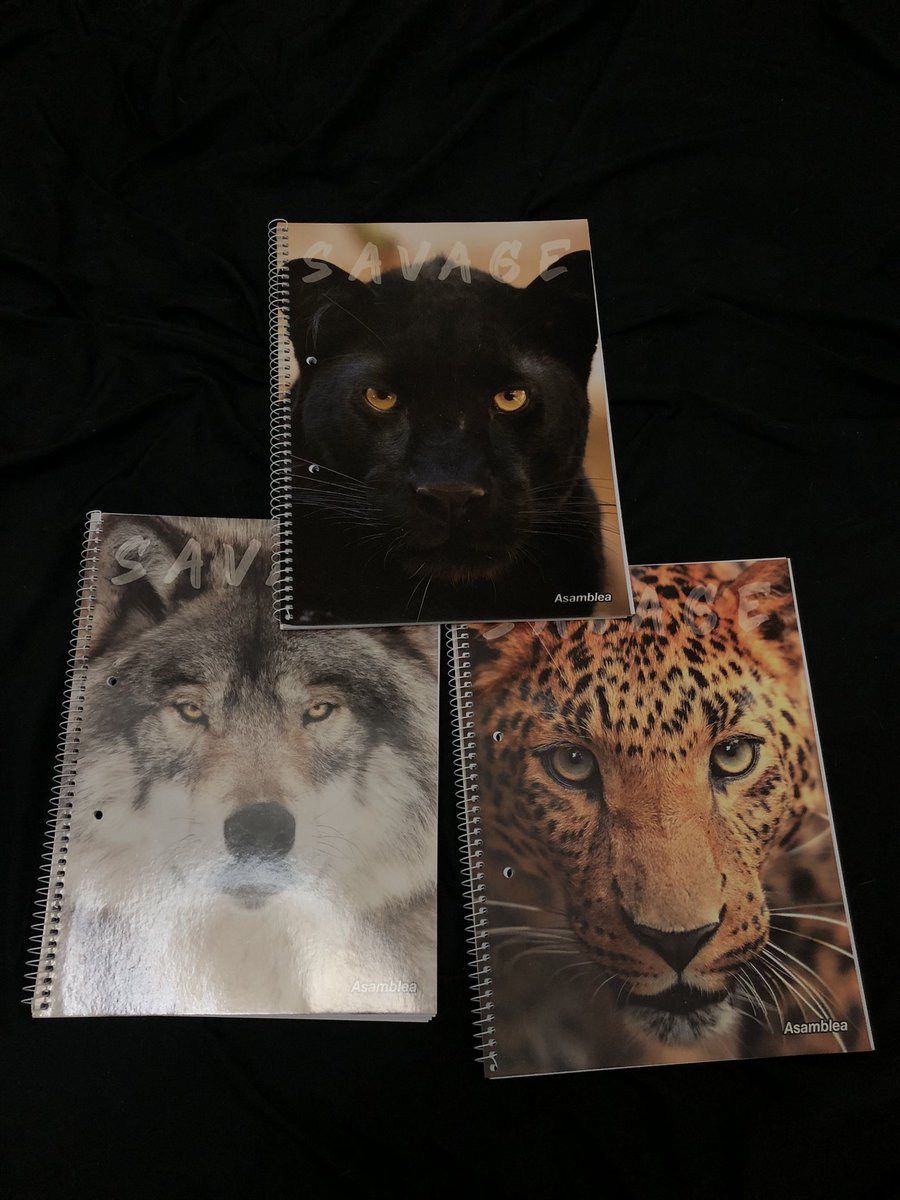 los cuadernos de mierda que me compré para la facultad fuerza leona
