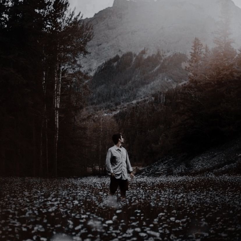 OFSHlNYVOLVO's tweet image. 