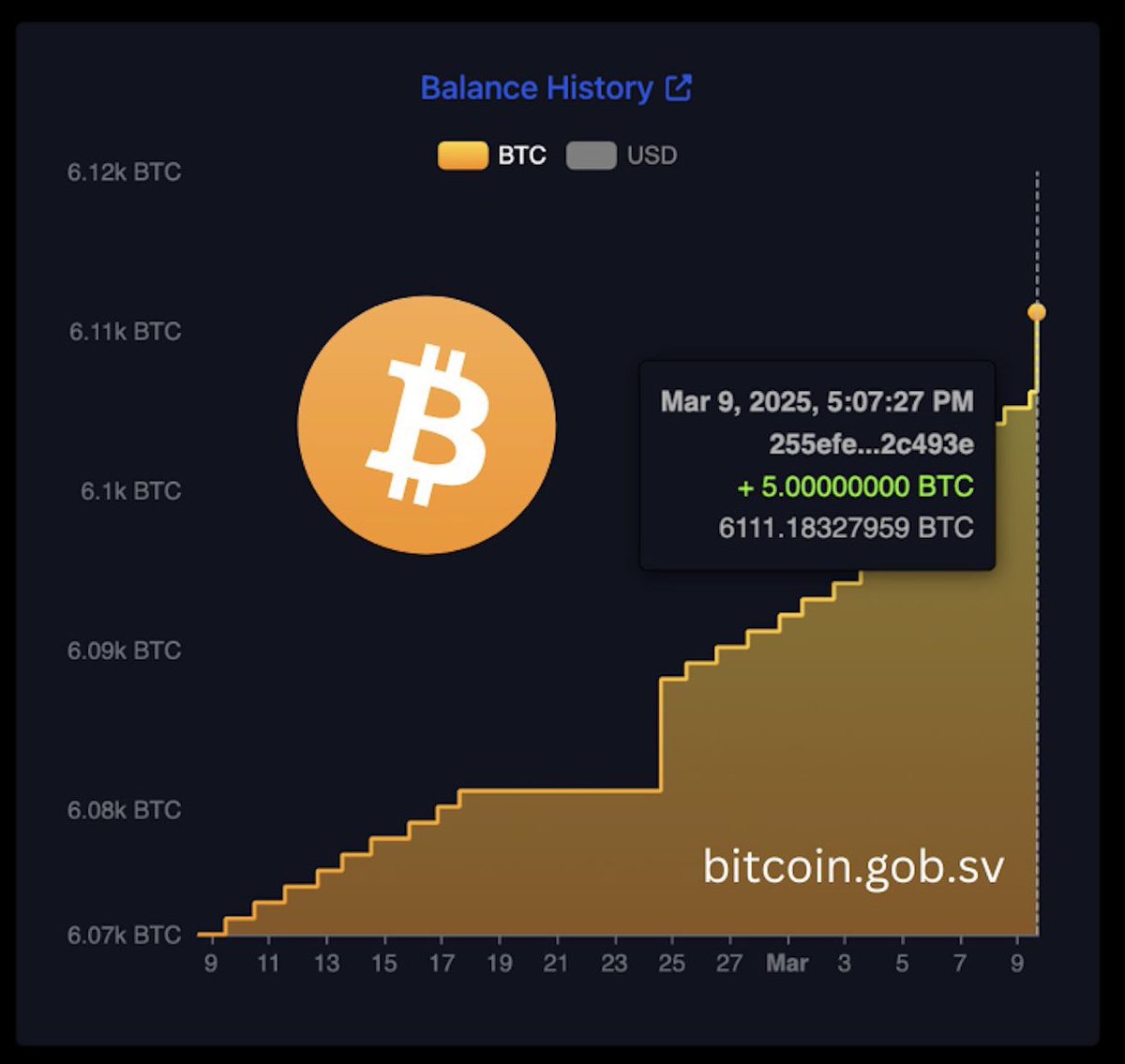 🟠"El Salvador e i 5 Bitcoin: tra ironia social e reazioni del FMI"