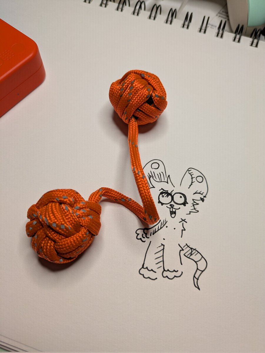 i made myself a toy out of paracord and some nickles (for weight)