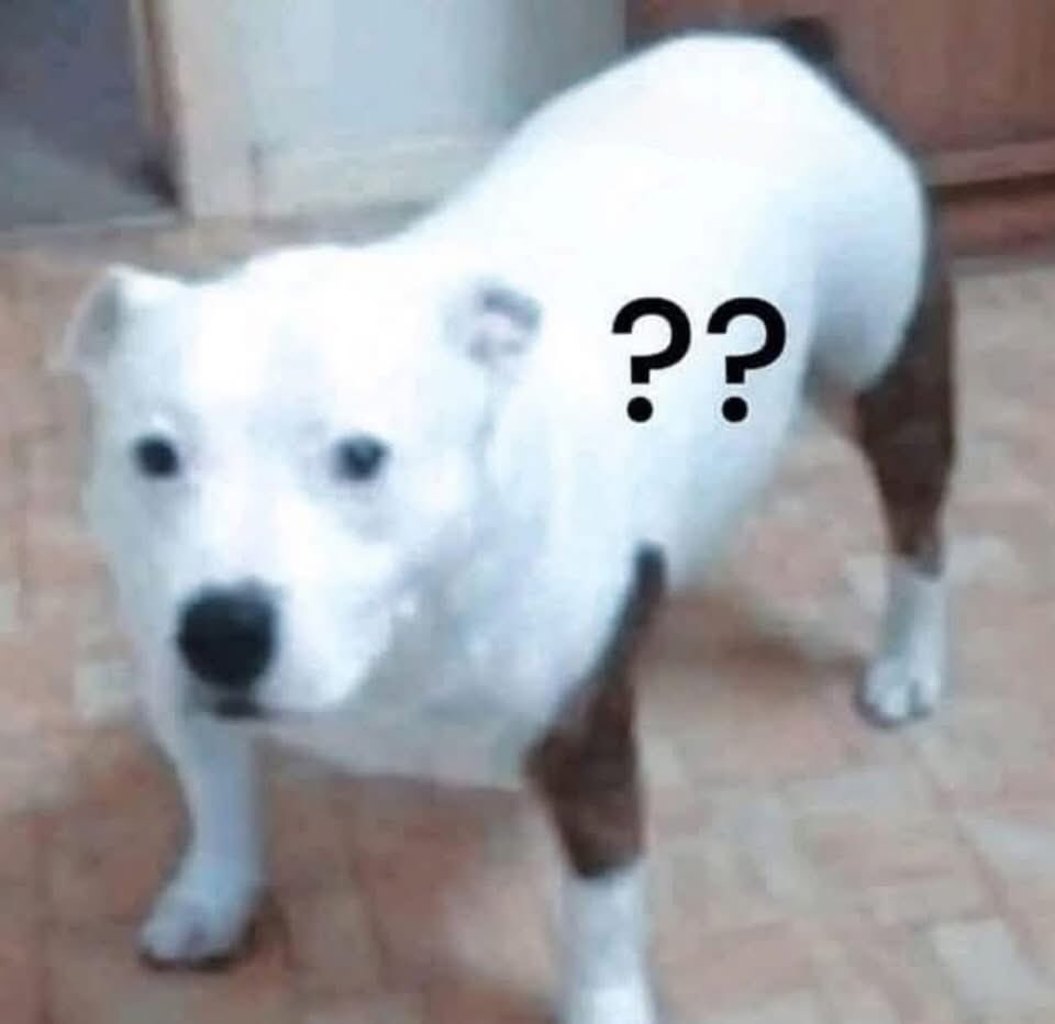 *Me preguntan algo básico de mi carrera*

Yo a un semestre de egresar: