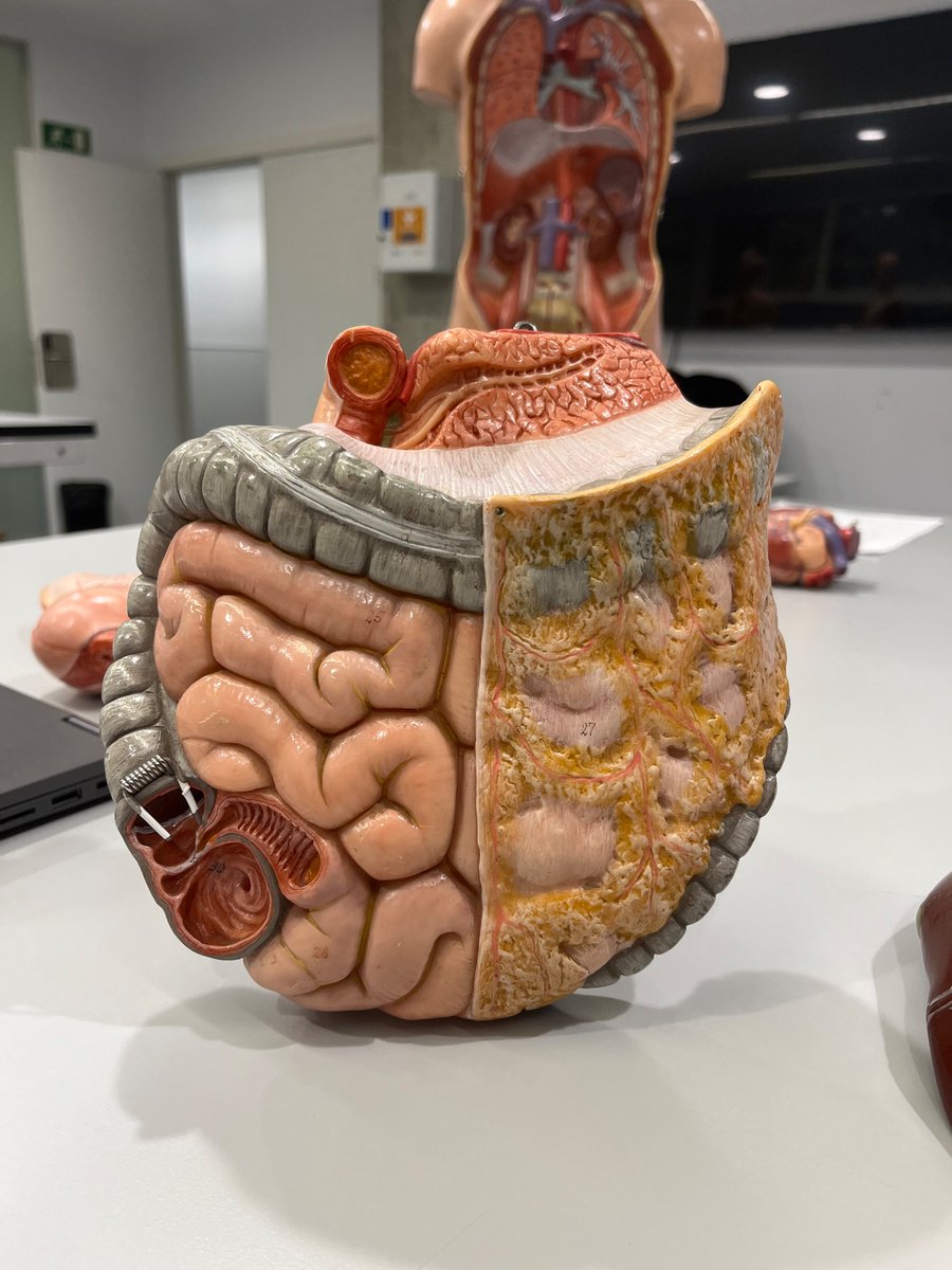 ifutures tweet media