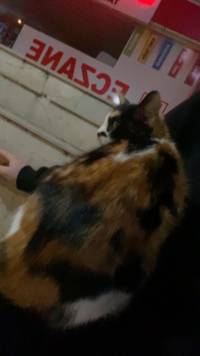 Sigara içmeye indik