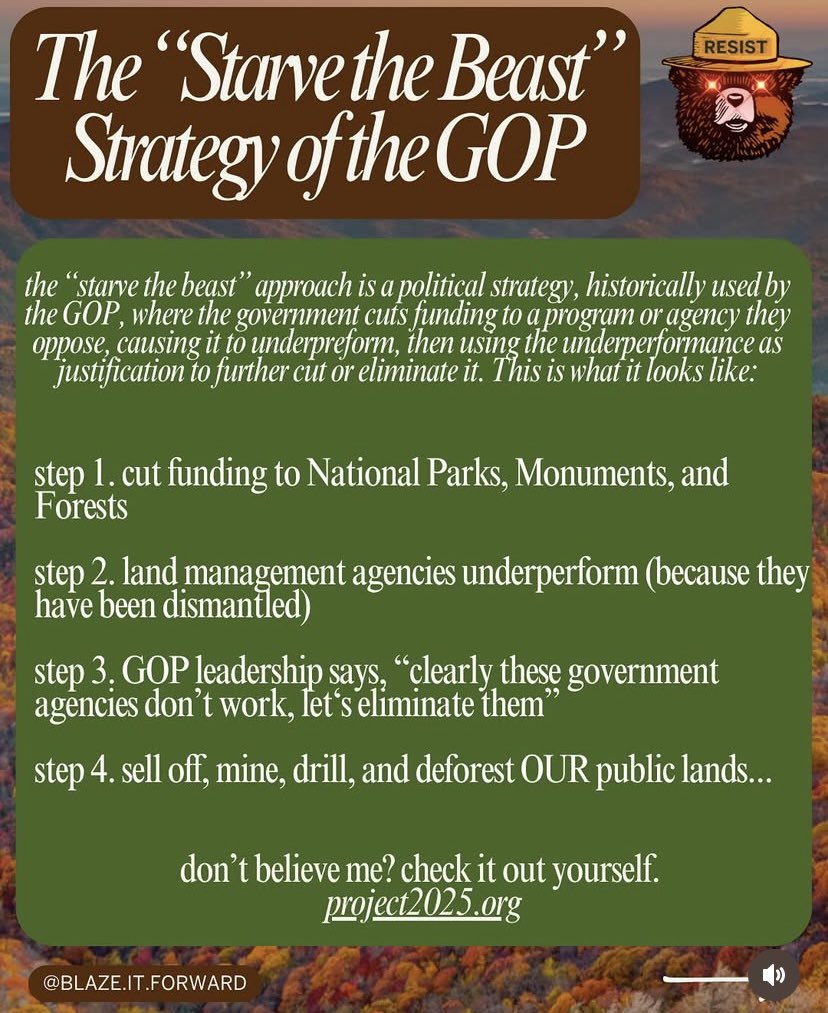 Górski Lion (@gorski_lion) on Twitter photo 