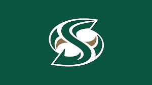 baum_jayden23's tweet image. I am beyond blessed and humbled to announce that I have received a offer from Sacramento State! #gogosacramento #AG2G #gohornets