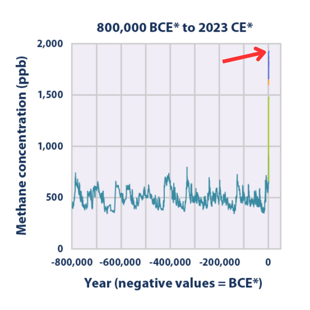 I'm dumbfounded every time I see this methane graph

We don't know what the last time was that methane concentrations were this high (1943 ppb @noaa)

Maybe 55 million years ago during the Paleocene–Eocene Thermal Maximum (PETM)?