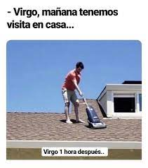 voshoshooorra's tweet photo. ♍ VIRGO: MICROGLIA. 
Viven para mantener todo limpio, ordenado y en equilibrio estético y homeostatico, re makanudos a pesar de pecar de introvertidos. Criticones con todo, pero principalmente consigo mismos. https://t.co/XTuVVyyPEx