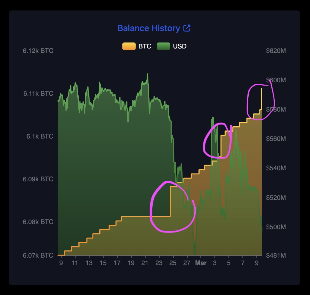 El Salvador buys the dips.
Every time.