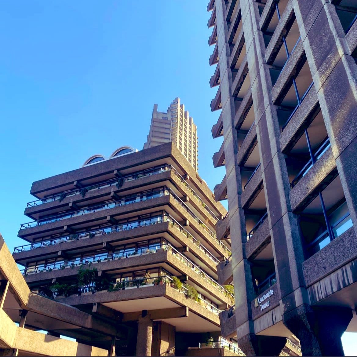 Die Zukunft planen, heisst sie gestalten &amp; zu wagen.

Bestand dämmen, Behaglichkeit &amp; Ökologie erreichen. Neubauten progressiv, langlebig, neue Typologien: kluge Modelle entwickeln.

Form im Baukatalog, #Architektur &amp; #Städtebau #HoheHäuser, Hochhaus, Gärten, Dichte. #Wirksamkeit