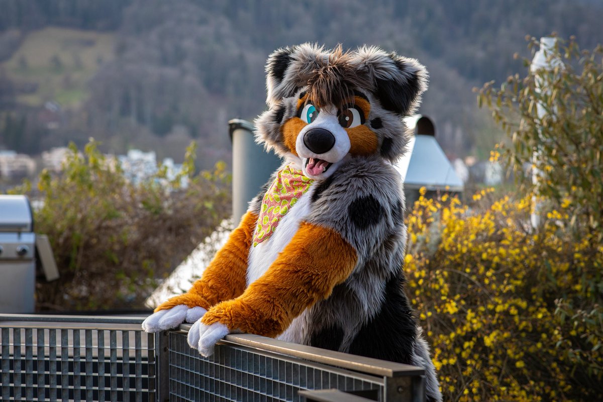 a cheap stink tweet media