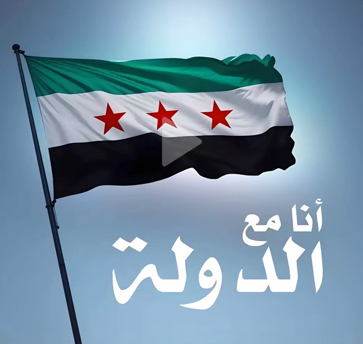 أنا مع الدولة السورية ✋