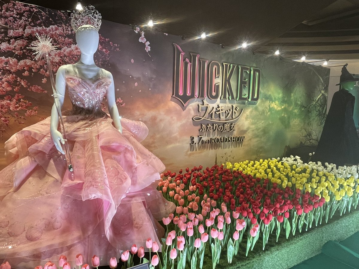 m_films07's tweet photo. 休日にWickedの展示品見てきた👀
まだ映画は鑑賞してない。鑑賞楽しみ! https://t.co/IImAHkRGHq
