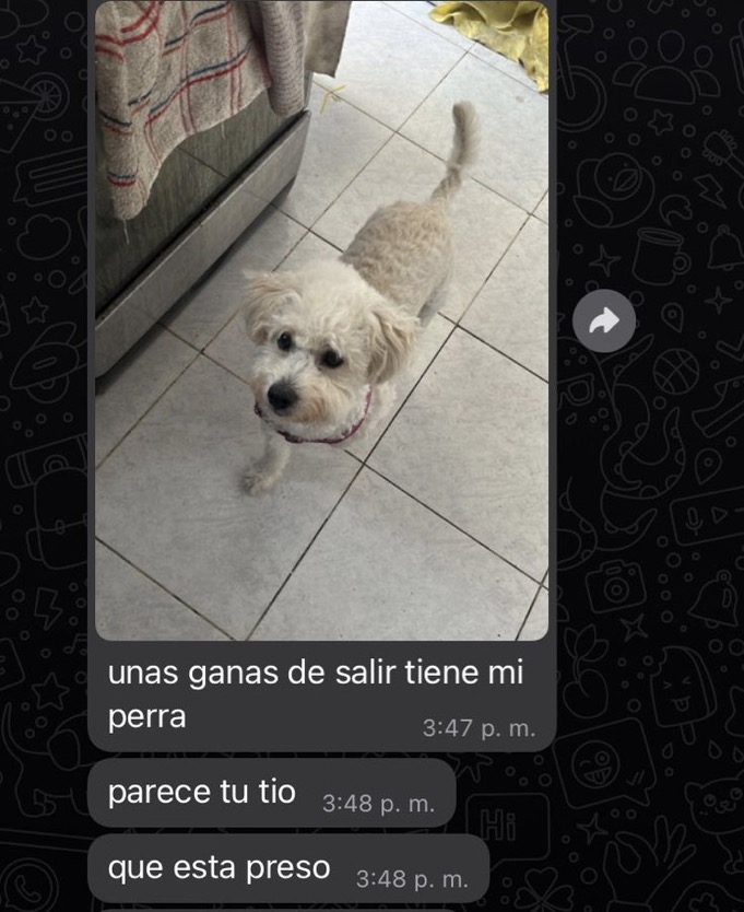 gente chamuyando (@gentechamuyando) on Twitter photo 