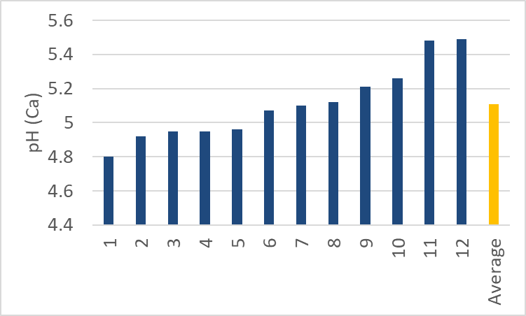 Rohan Brill tweet media