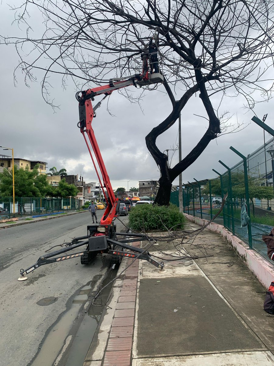 Una araña en Durán