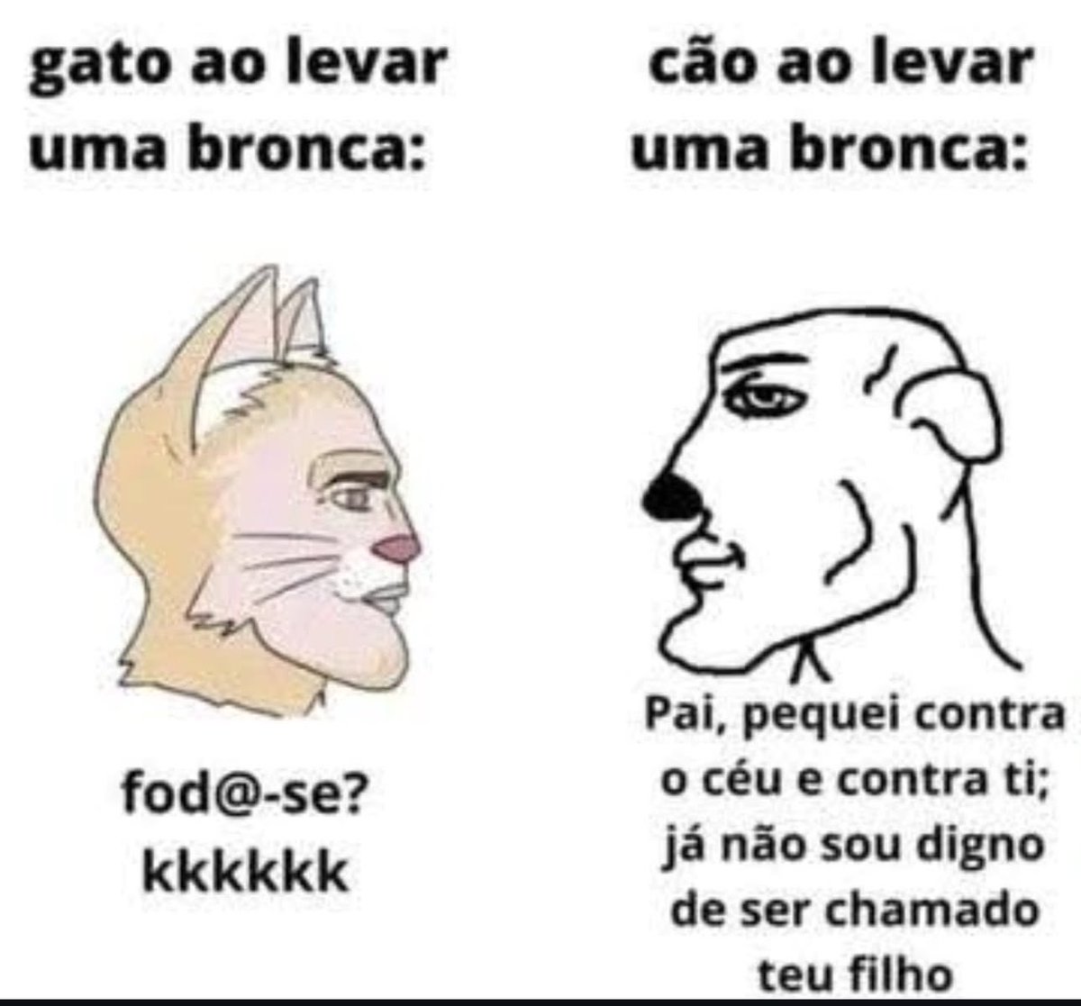 shitpostverdade's tweet photo. https://t.co/jzsXxLFHXX