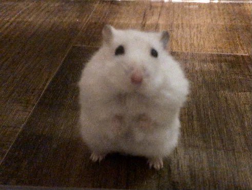 i kinda wanna do commissions now