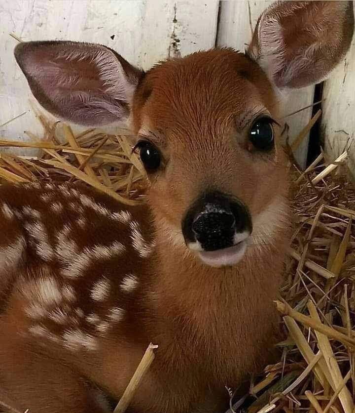 daphne (@redsainz) on Twitter photo 